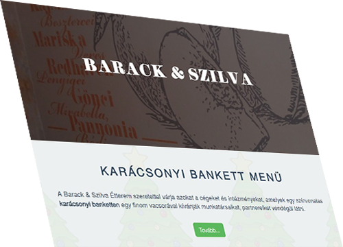 www.barackesszilva.hu